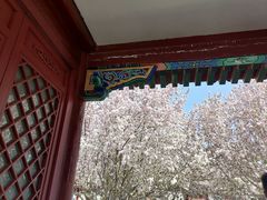-麦当劳(欢乐谷店)
