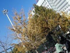 -防灾科技学院(南校区)