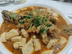 -煲来饱去冷水鱼