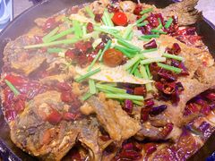 -老板恋上鱼(恒隆广场店)