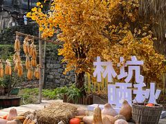 -林坑古村落