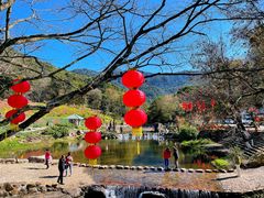 -广州市石门国家森林公园