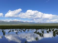 -花湖生态旅游区