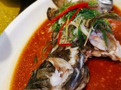 老虎斑-新兴家喻酒家·羊城名宴(昌岗店)