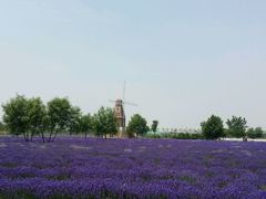 -渔岛海洋度假区