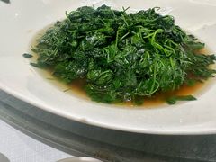 -新雅粤菜馆(南京东路店)