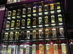 -广东中医药博物馆