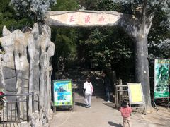 -王顺山国家森林公园