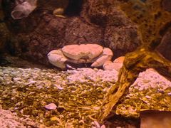 -珠海长隆海洋王国