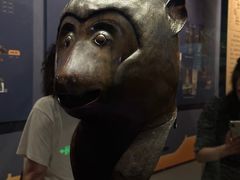 -广西壮族自治区博物馆