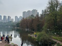 -重庆彩云湖湿地公园