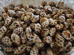 -南沙十九涌渔人码头-南门