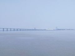 -大湾区中央湿地公园