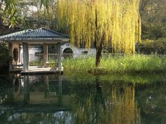 -环城公园