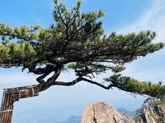 -黄山风景区