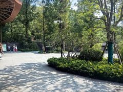 -东明山森林公园