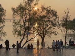-宝安西湾红树林湿地公园