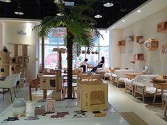 -藏猫猫咖啡主题馆(中央大道店)