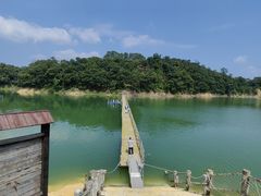 -广州市流溪河国家森林公园