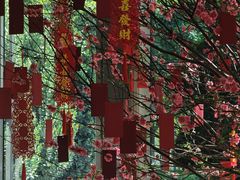 -深圳中洲万豪酒店·大堂酒廊·高空海景