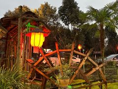 -青城甲(青城山店)