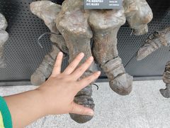 -中国港口博物馆