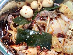 -舒记钵钵鸡