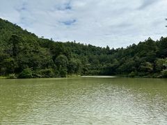 -广州白江湖森林公园