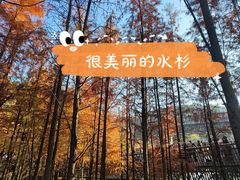 -福道
