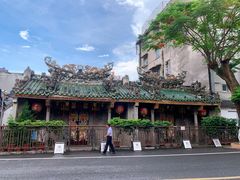-老妈宫粽球