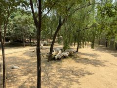 -石家庄市动物园