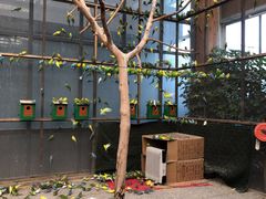 -南宫五洲植物乐园