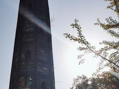 -上海佘山国家森林公园天马山园