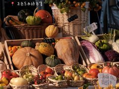 -苏州本色美术馆