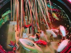 -北大街红丽涮牛肚火锅店