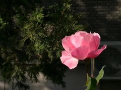 -北平图书馆旧址