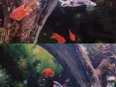 -常州海昌海洋探索馆