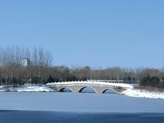 -大兴滨河森林公园