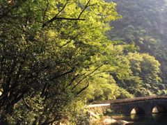 -白云源风景区