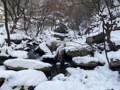 -少华山国家森林公园