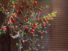 -龙宴海鲜城(经中路店)