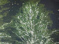 -龙湖重庆时代天街