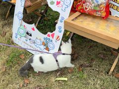 -帝京日语(春熙路旗舰校区)