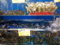水产区-蚝专家(北滘店)