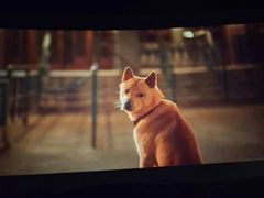 -万达影城(长安万达广场IMAX店)