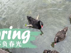 -五缘湾湿地公园