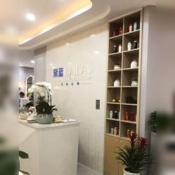 -黛蓝形象定制