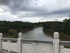 -上海海湾国家森林公园