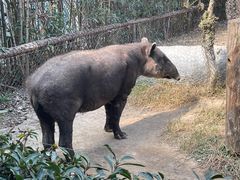-上海野生动物园