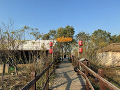 -西青郊野公园